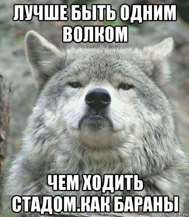 Лучше за стадом ходить 