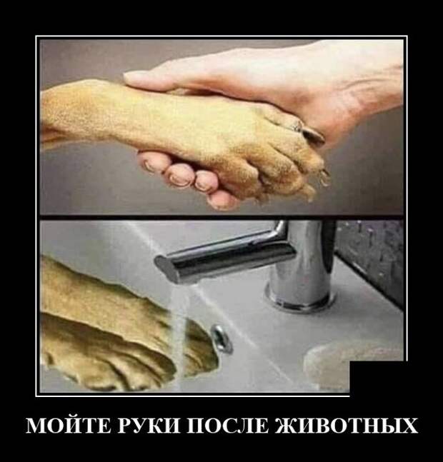 Демотиваторы 28 октября 2021 года