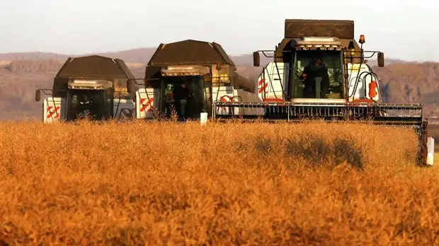 В Удмуртии планируют увеличить экспорт сельхозпродукции в 2020 году