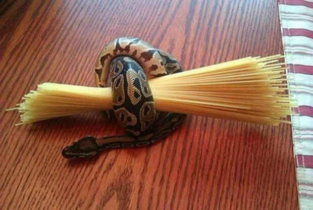 Фиксация спагетти.