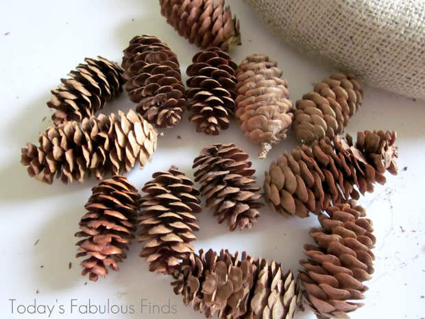 Pine Cone Wreath_5960 (700x525, 153Kb)