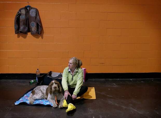 Выставка собак Crufts Dog Show 2019 проходит в Великобритании