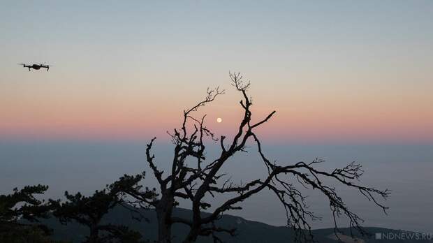 Средства ПВО за ночь сбили 75 украинских дронов