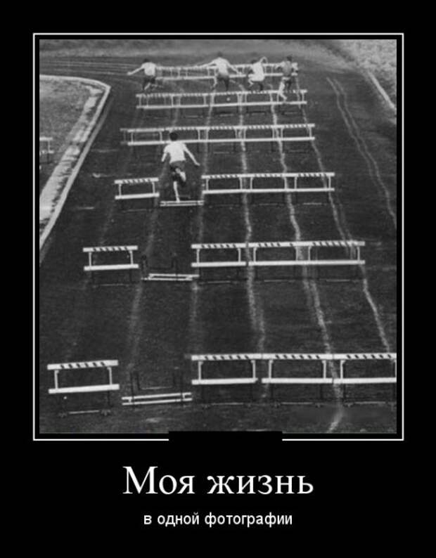 Демотиваторы (30 фото)