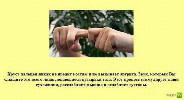 Прикольные факты о которых вы не знали