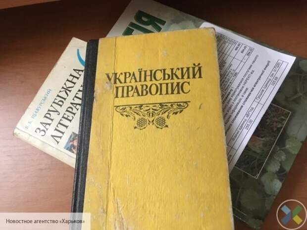 Жители Донецка резко высказались о запрете русскоязычных школ на Украине