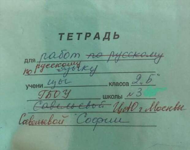 20 пометок учителей, от которых опешили мальчишки и девчонки, а также их родители