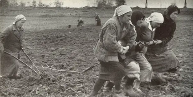 С 8 МАРТА, МИЛЫЕ ЖЕНЩИНЫ!