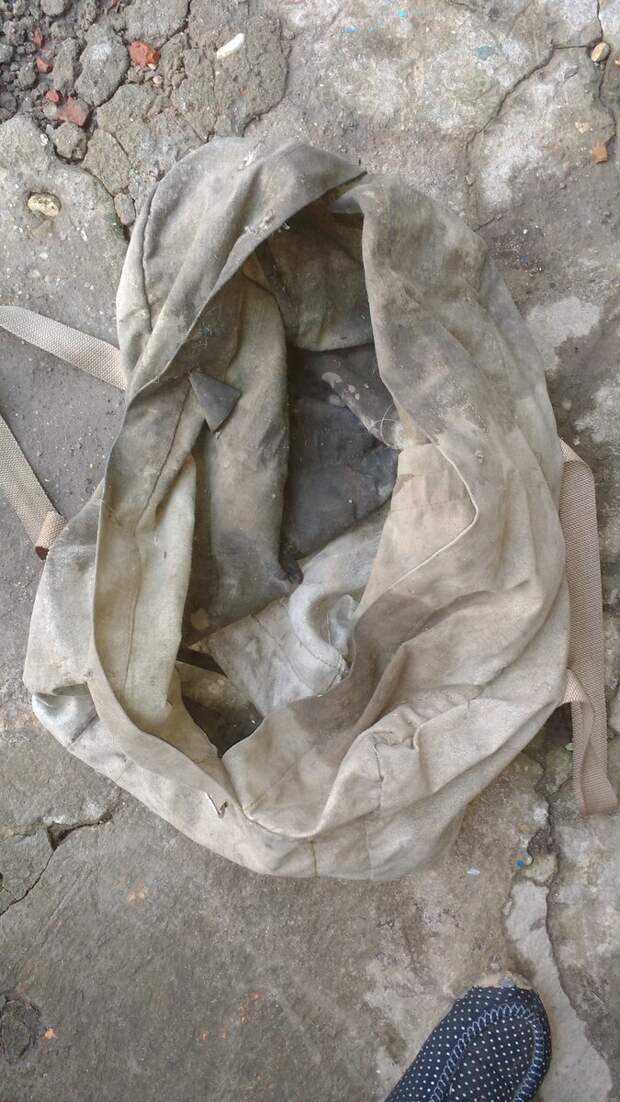 Вот в этой сумке были оставлены животные.