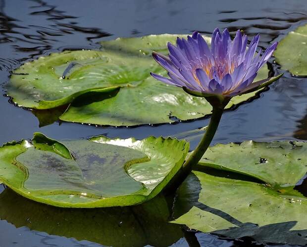 Хорошего настроения всем!!!!