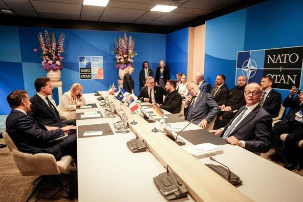 Макрон сравнил действия НАТО с дерганием препарированной лягушки