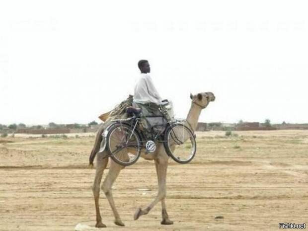 08d809d6ff1ce85bbce69ef40d71aefd (700x525, 104Kb)