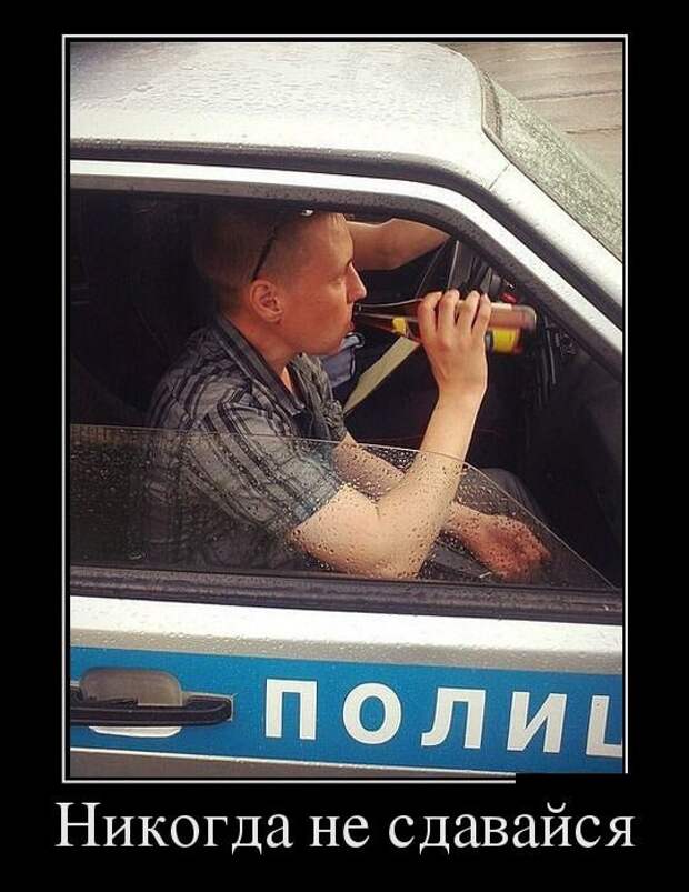 Шикарные Демотиваторы. Балдеем вместе!