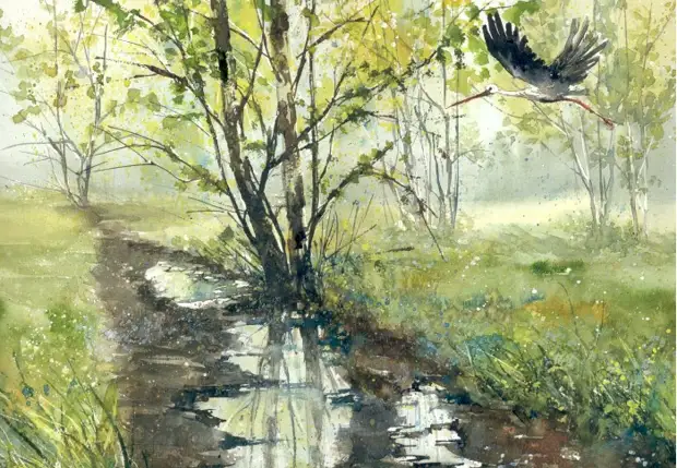       (Malgorzata Szczecinska)