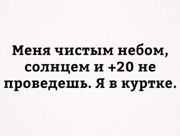 Картинки с надписями картинки с надписями, прикол, юмор