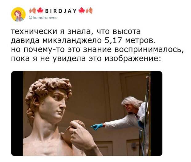 Подборка картинок. Вечерний выпуск (32 фото)