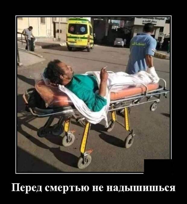 demotivatory-demotivator-smeshnye-demotivatory-demotivator-so-smyslom