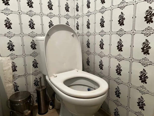 Пока вы спите, унитаз сам отмывается до хрустального блеска: стакан этой жижи из кухни заменяет три баллона дорогущей химии