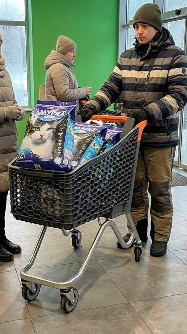 Хохлы устроили ажиотаж вокруг кошачьего наполнителя — новое «достижение» евромайдана