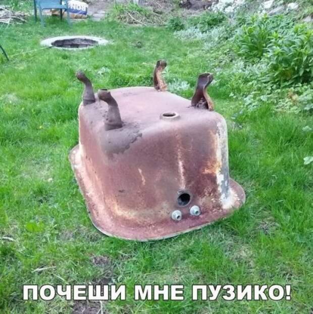 Прикольные фотомемы для хорошего настроения (22 шт)