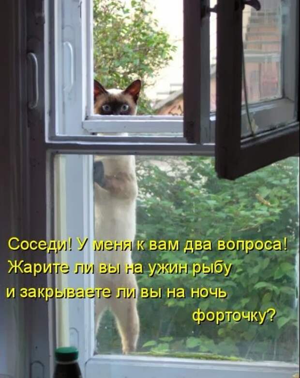e7ec9f859d47f5701ec11ee1cd1