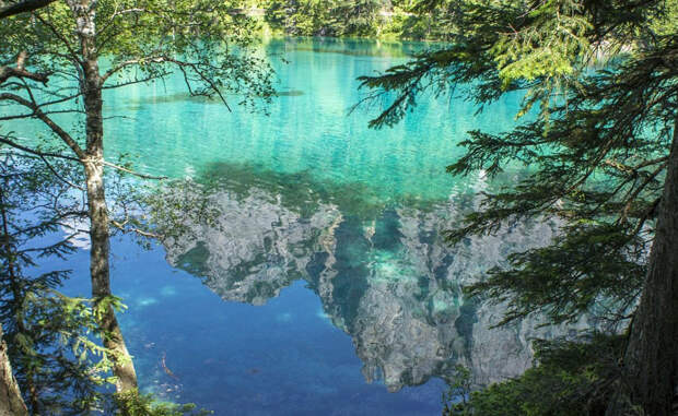 Озеро с лесом под водой