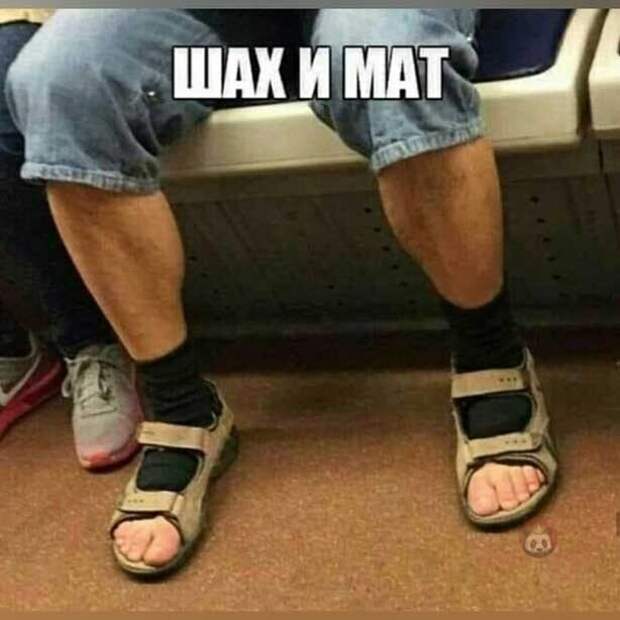 Шах и мат Шах и мат