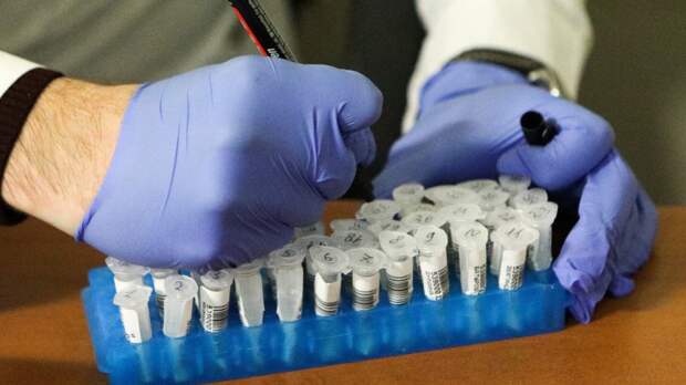 Российские врачи выявили коронавирус у 19 744 человек за сутки