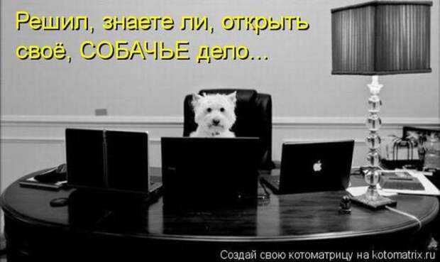 Котоматрицы (картинки с надписями)