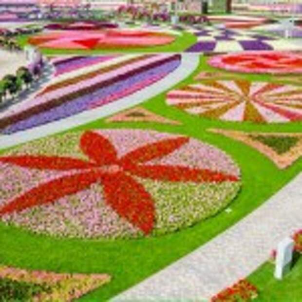 Dubai Miracle Garden