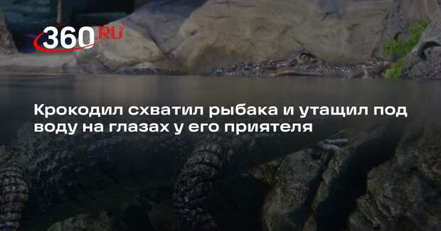 Крокодил схватил рыбака и утащил под воду на глазах у его приятеля