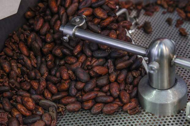 Стоимость какао-бобов достигла рекордного максимума