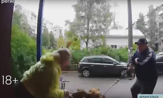 Бойцовская собака держит в страхе жителей многоэтажки в центре Архангельска