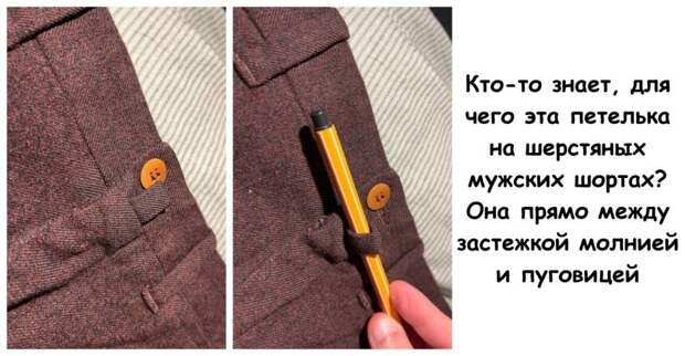15 человек, которые не постеснялись спросить: Что это? Ответыт тут же нашлись