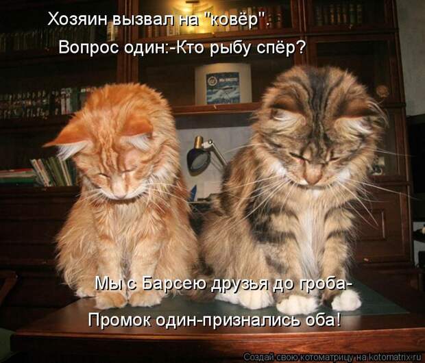 Хозяин вызвал на "ковёр". Вопрос один:-Кто рыбу спёр? Мы с Барсею друзья до гроба- Промок один-признались оба!