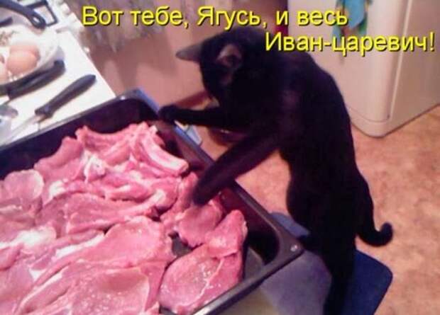 05ae88f1a309981d825378ab859_prev