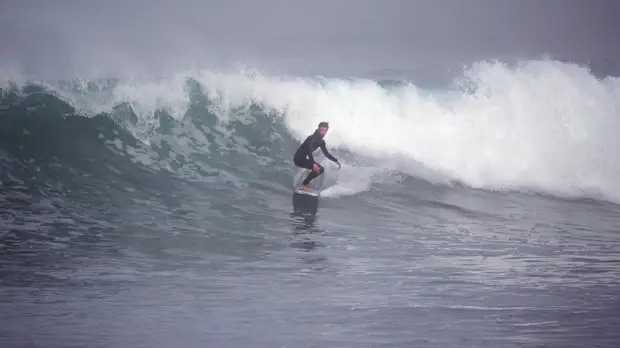 Сёрфер погиб после нападения акулы в Калифорнии