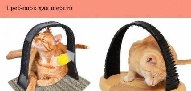 Дизайнерские штуки для котеек дизайн, котэ