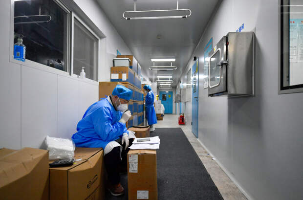 Врач рассказал о появлении варианта коронавируса "Кентавр" в Новосибирской области