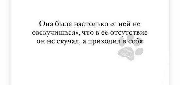 Лучшие шутки и мемы из Сети