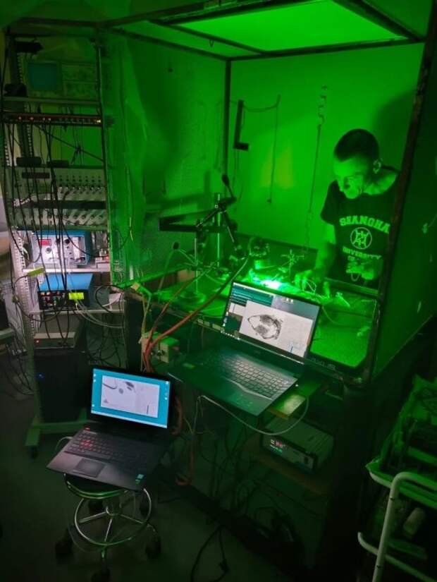 Бесконтактная фотоплетизмография выявила пульсацию глубоких артерий мозга