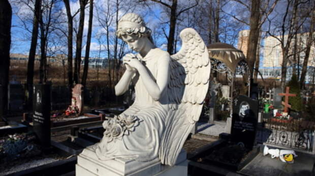 Смертельный рекорд: В России впервые за день умерло больше двух десятков людей