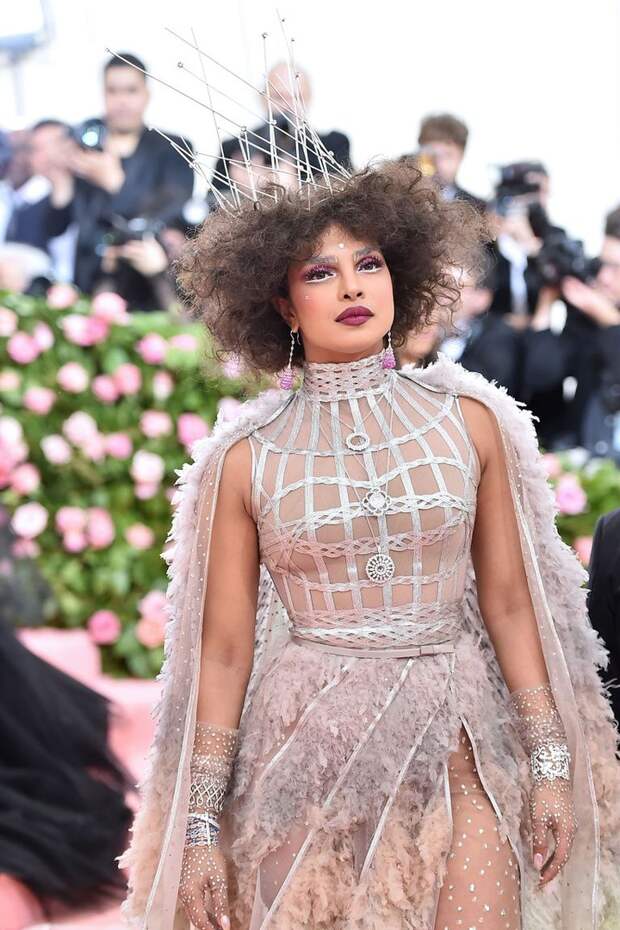 Платье Dior Приянки Чопра с Met Gala