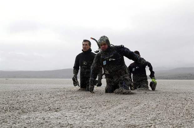 Лучшие снимки Reuters 2011. Часть 2. (22 фото)