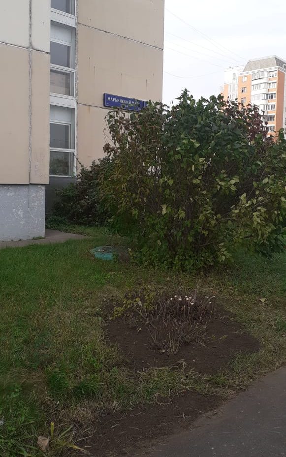 Сотрудники ГБУ «Жилищник района Марьино» вновь спасли растения от соли