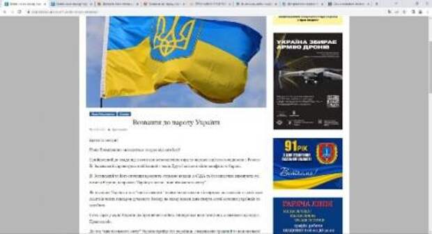 «Армия спасения Украины» призывает к суду над Зеленским