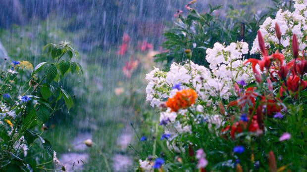 В выходные погода в центре России придет к многолетней норме