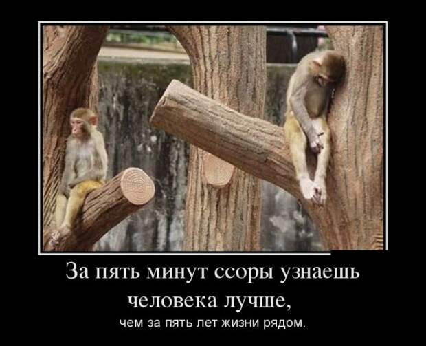 Прикольные демотиваторы на выходные (12 фото)