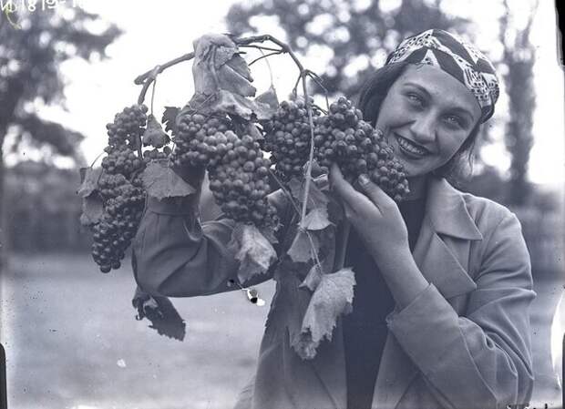 Женщина с гроздью винограда. Неизвестный автор, 1938 год, Грузинская ССР, Кунсткамера. 