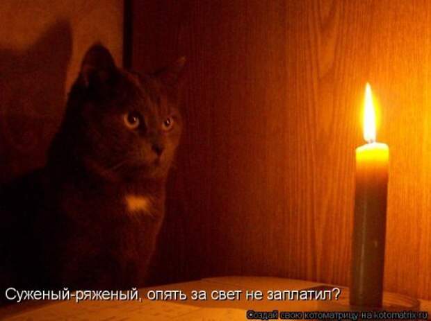Новая котоматрица для настроения. Смотрим приколы